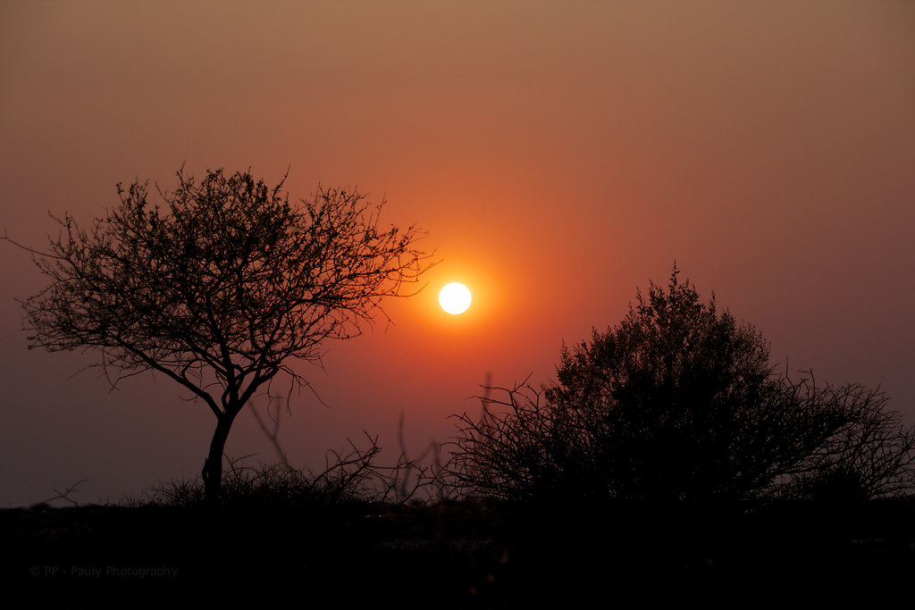 Die Sonne geht unter in Namibia