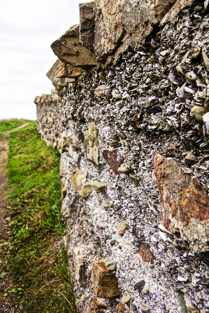 Eine Mauer aus Muschel und Sandstein